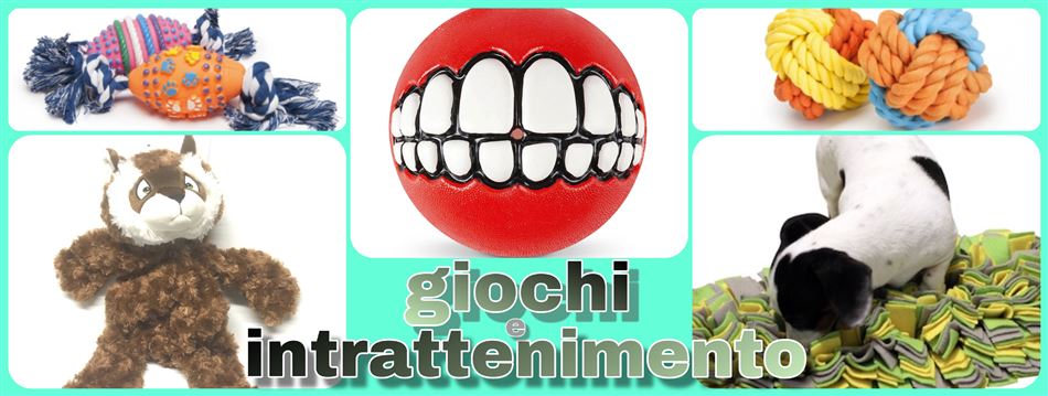 GIOCHI e INTRATTENIMENTO