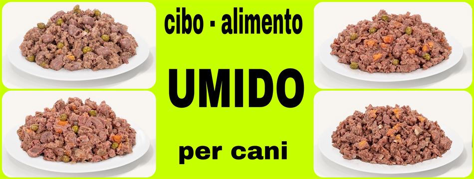 CIBO UMIDO per cani