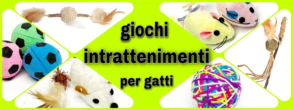 GIOCHI e INTRATTENIMENTO per gatti