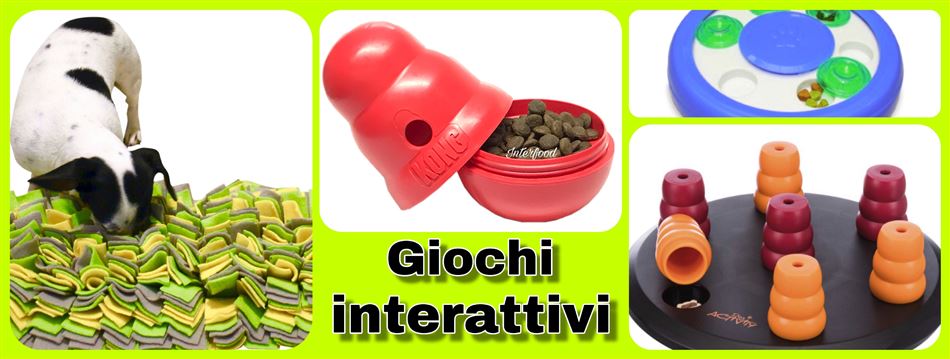 GIOCHI INTERATTIVI