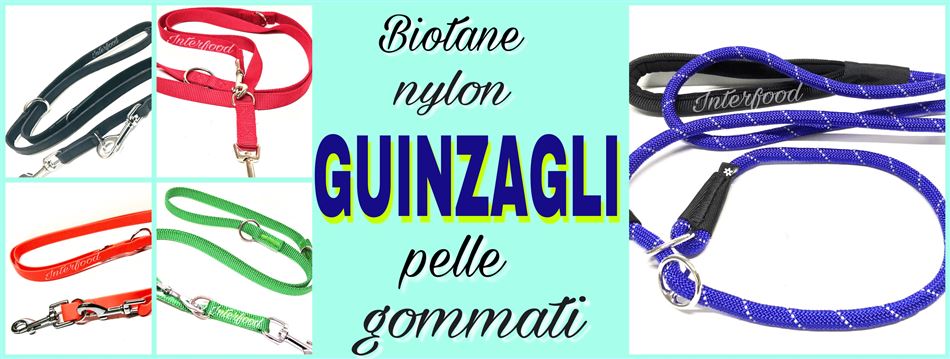 Guinzagli