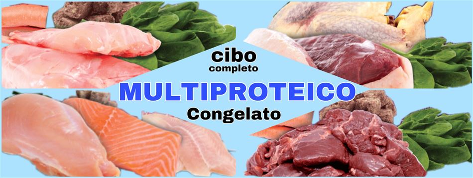 CIBO  MULTIPROTEICO CONGELATO