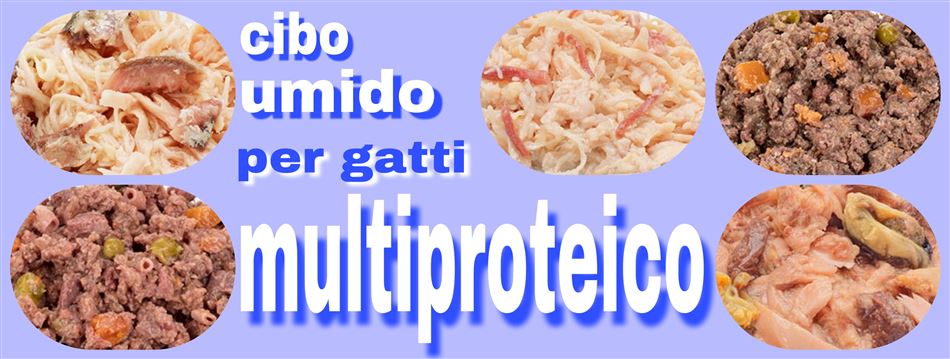 CIBO MULTIPROTEICO umido per gatti