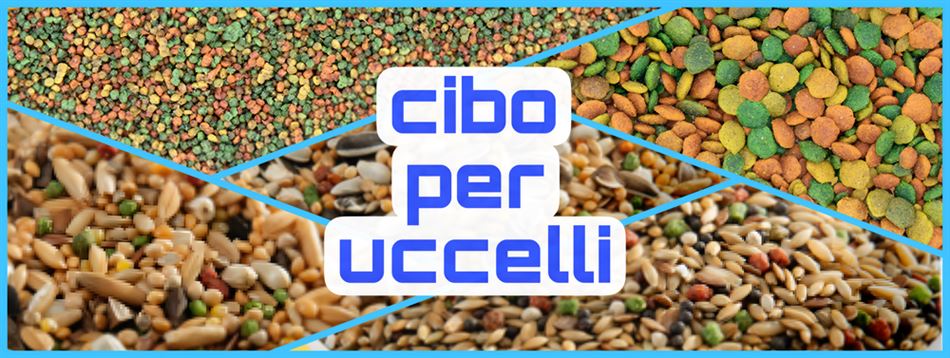 Alimenti per uccelli