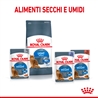 ROYAL CANIN Light Weight Care Jelly - Alimento umido per gatti - 12 x 85g gallery 3