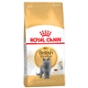 ROYAL CANIN British Shorthair Adult - Cibo secco per gatti - 4kg gallery 1