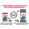 ROYAL CANIN Light Weight Care Gravy - Alimento umido per gatti - 4 x (12 x 85g) gallery 3