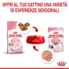 ROYAL CANIN Kitten in Mousse - Alimento umido per gatti - 12 x 85g gallery 3