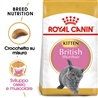 ROYAL CANIN British Shorthair Kitten - 400g gallery 2