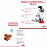 Royal Canin Mother & Babycat - crocchette per gatti - 4kg gallery 2