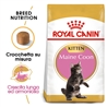 ROYAL CANIN Maine Coon Kitten - 2x2kg gallery 2