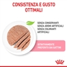 ROYAL CANIN Kitten in Mousse - Alimento umido per gatti - 12 x 85g gallery 2