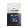 CANAGAN Scottich Salmon 2kg gallery 3