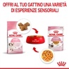 ROYAL CANIN Kitten Jelly - Alimento umido per gatti - 4 x (12 x 85g) gallery 3