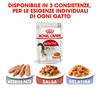 ROYAL CANIN Instinctive Jelly - Cibo umido per gatti - 4 x (12 x 85g) gallery 3