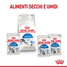 ROYAL CANIN INDOOR Sterilised Gravy - Alimento umido per gatti - 4 x (12 x 85g) gallery 3