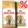 ROYAL CANIN British Shorthair Adult - Cibo secco per gatti - 2x2kg gallery 1