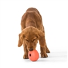 WestPaw Rumbl Small Arancio - gioco per cani gallery 2